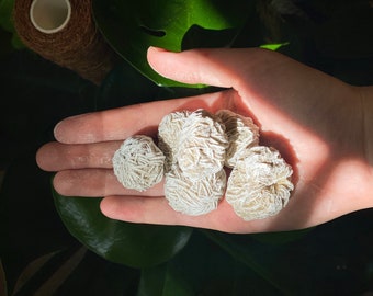 May include: A hand holding five white rose quartz crystals. The crystals are clustered together and have a delicate, layered appearance.