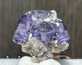 in Perky Box Display Kentucky Light-Lavender Fluorite Cubes with Barite Mineral Specimen from Danville