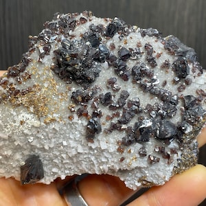Peut inclure: Spécimen minéral naturel avec des cristaux brun-rouge foncé sur une matrice de quartz blanc. Les cristaux ont un éclat métallique. La texture est rugueuse et inégale. Formation naturelle.
