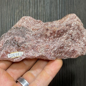 May include: A rough, reddish-brown rock formation with a textured surface. The rock has a slightly irregular shape and appears to be a natural mineral specimen. A small label with the text "2469CI" is attached to the rock.