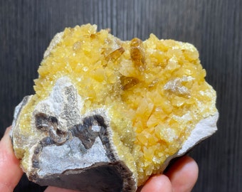 Phosphorescent (see video) Barite Crystals with Calcite from Elk Creek, South Dakota