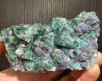 May include: A close-up of a fluorite mineral specimen. The specimen features clusters of translucent, emerald-green cubic crystals. Dark gray and black matrix rock surrounds the crystals. The mineral is held in a hand.