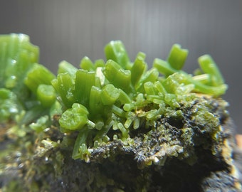 Closed locality - Green Pyromorphite from the Famous Daoping Mine in China