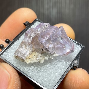 Light pink/purple cubic fluorite crystals mounted in a perky box from Asturias, Spain