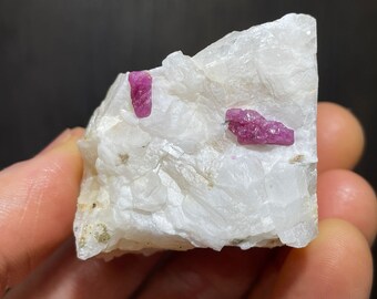 Fluorescent Corundum var Ruby Crystals on Marble from Pakistan