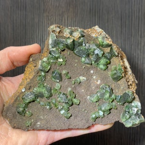 May include: A hand holding a natural mineral specimen. The specimen features clusters of vibrant green crystals on a dark brown matrix. The crystals have a glassy appearance, and the matrix has a rough, textured surface. The edges of the matrix are a mix of brown and tan.