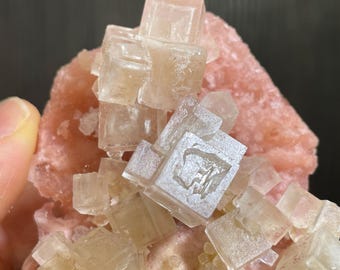 Halite crystals from Searles Lake in California.