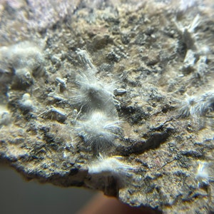 May include: Close-up of a textured, light brown rock surface with patches of white, fibrous mineral formations. The rock has dark gray and black areas, with a rough, uneven texture.