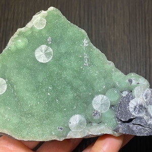 以下が含まれることがあります： 白の放射状結晶が特徴の、明るい緑色の鉱物標本。石はざらざらとした質感の表面を持っています。鉱物は淡い緑色で、より濃いグレーと黒のインクルージョンがあります。