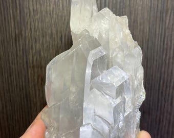Nicely Sized Selenite Crystal From Mexico - with an old label