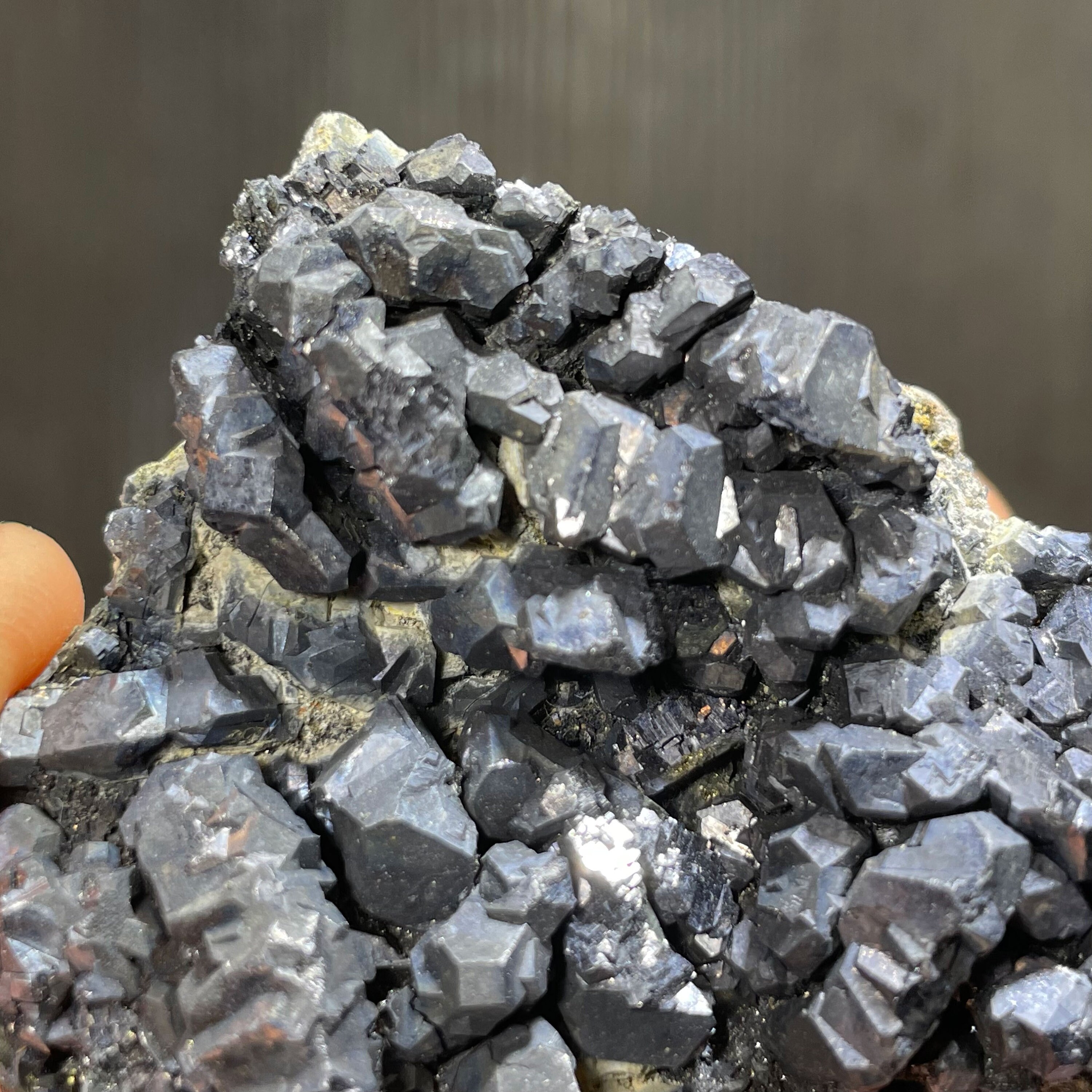 ルーマニア、カヴニク産の共生方鉛鉱結晶 - 古いコレクションより