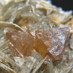 Cristaux de scheelite orange lustré sur moscovite de Chine
