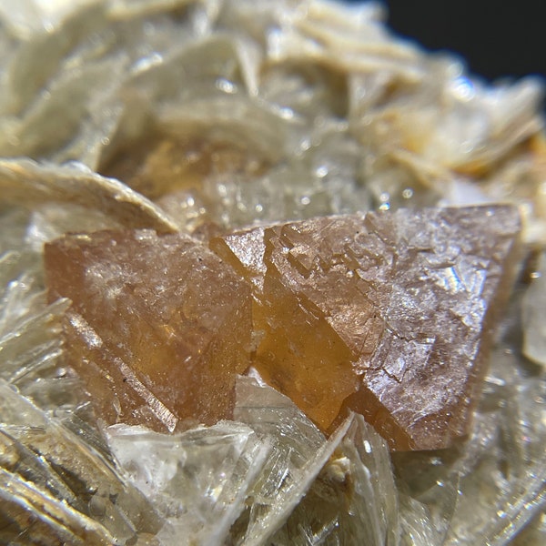 Lustrous Orange Scheelite Crystals on Muscovite from China