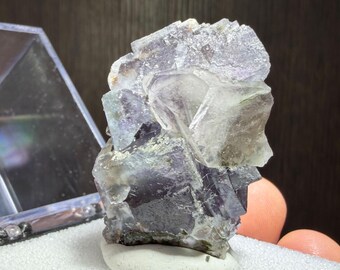 Fluorite Crystals from the Yaogangxian Mine - Thumbnail Specimen Mounted in Perky Box