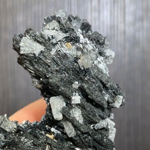 黒トルマリンのショール結晶と無色のベリル変種ゴシェナイト