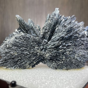 Unusually Shaped Spray of Vivianite Crystals from Virginia - From Old Collection