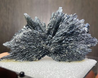 GIANT Smoky Quartz, 16 Lbs! Quartz Crystal, Large Natural GIANT Smoky Quartz, 16 Lbs! Quartz Crystal, Large Natural
