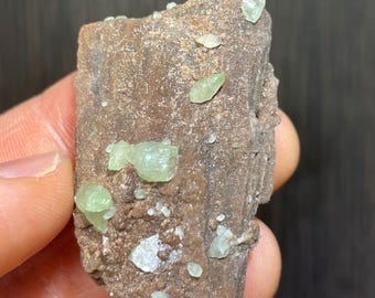 Rare Kiwi Calcite on Petrified Wood from Utah