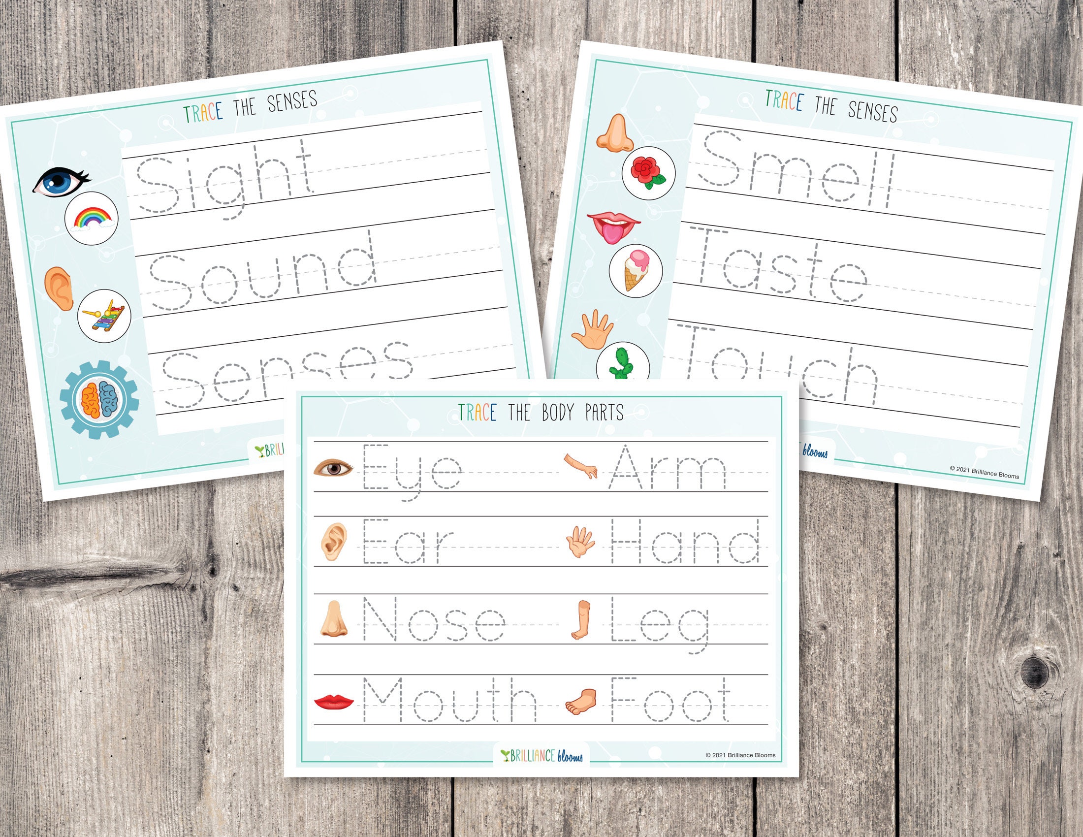 Printable My Body Busy Book Human Anatomy Science Activity - Etsy