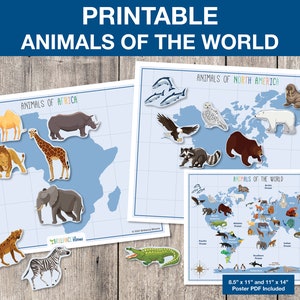 Welt Tiere, Tiere der Welt, Welt Tiere Karte druckbare, Vorschul-Wissenschaft, Montessori, Homeschool-Aktivität INSTANT DOWNLOAD, S009