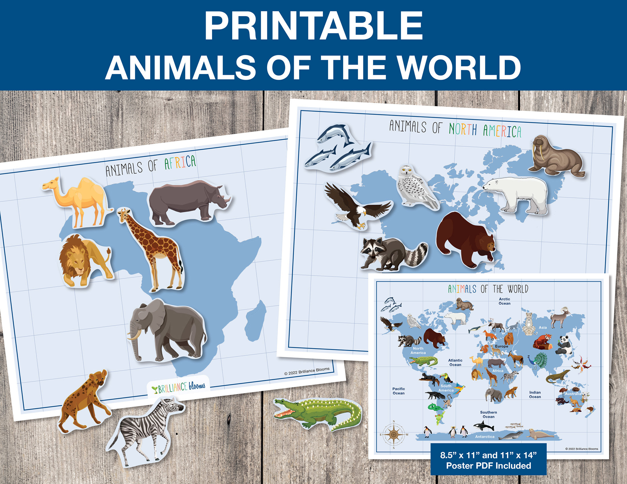 Animals, Free Full-Text