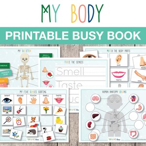 Afdrukbare mijn lichaam drukke boek, menselijke anatomie, wetenschappelijke activiteit, over mijn lichaam, voorschoolse wetenschap, homeschool activiteit INSTANT DOWNLOAD, S007