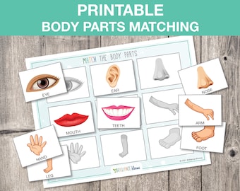 Printable Body Parts Matching, Toddler Busy Book Page, About My Body, Preschool Science, Homeschool Activity INSTANT DOWNLOAD, S003