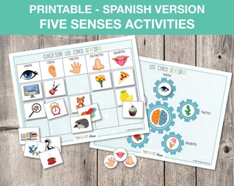 Spanish Printable Five Senses, Five Senses Sorting, Toddler Busy Book Page, Preschool Science, Homeschool Activity INSTANT DOWNLOAD, S012