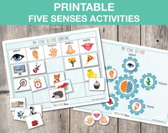 Printable Five Senses Activity, Five Senses Sorting, Toddler Busy Book Page, Preschool Science, Homeschool Activity