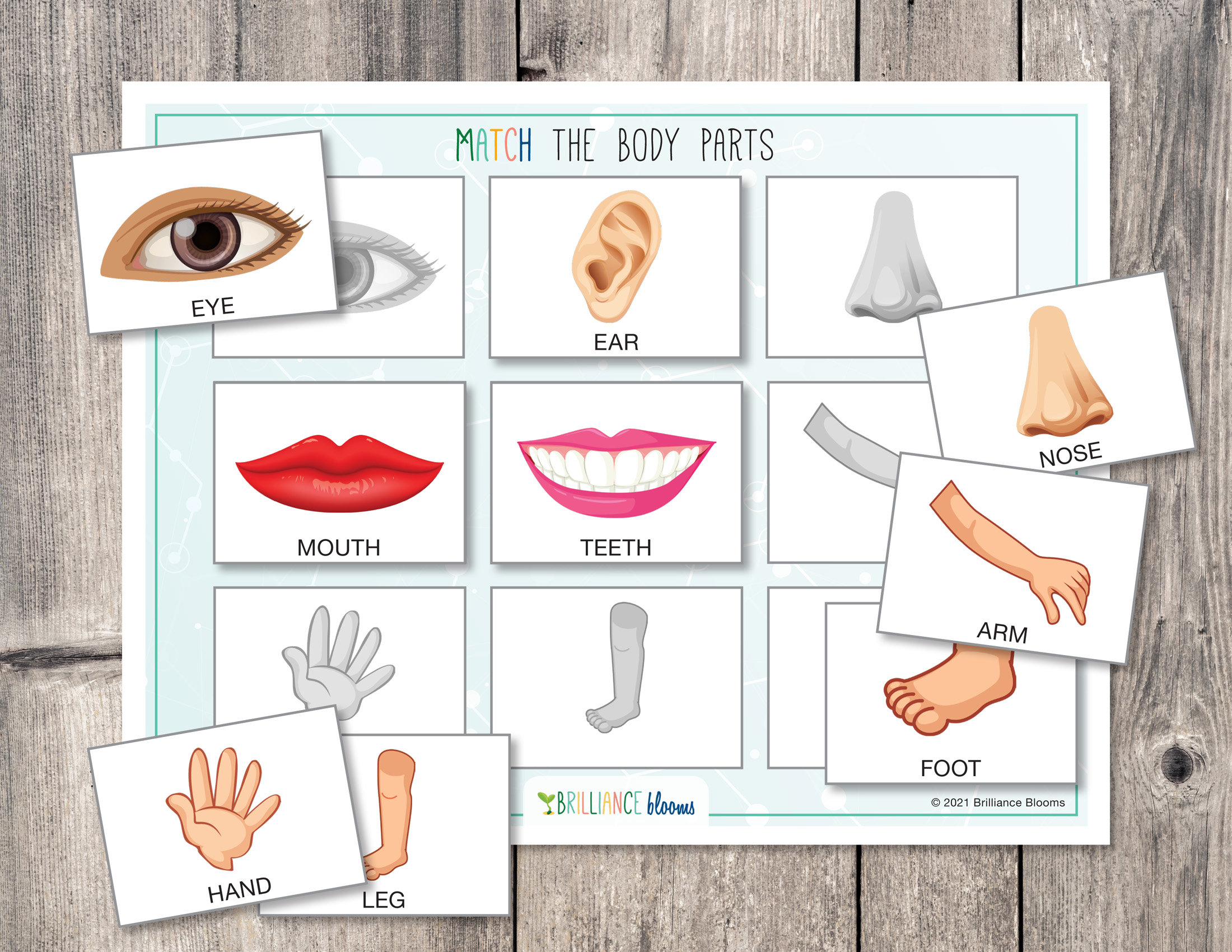 Printable Body Parts Matching Toddler Busy Book Page About | Etsy