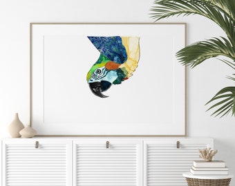 Macaw Printable Wall Art Instant download