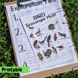 Bird Scavenger Hunt Printable, Nature Activity Sheets for Camping, Montessori Outdoor Backyard Activites, Fall Activities Kindergarten Sheet