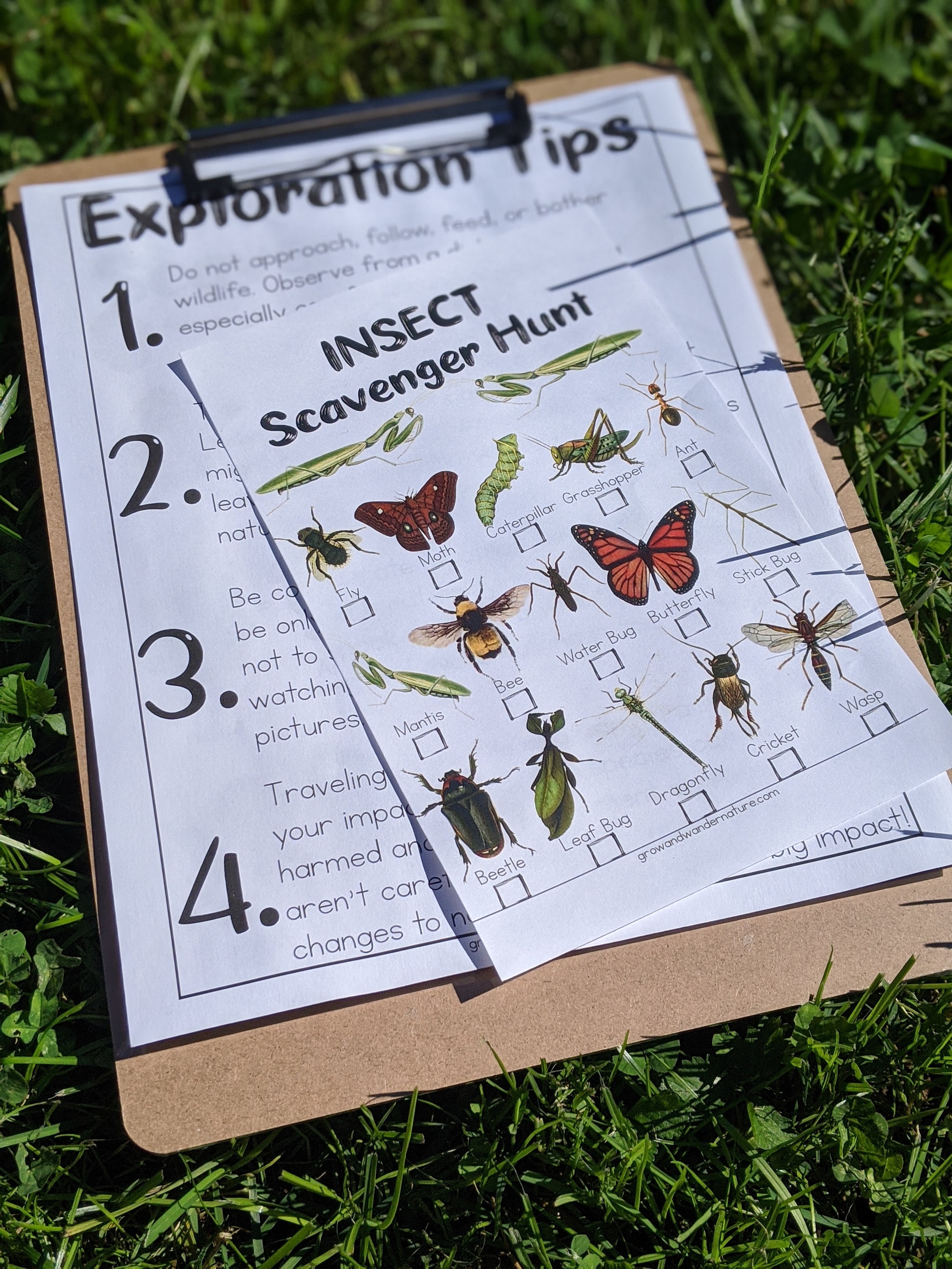 Insect Scavenger Hunt Printables Bug Themed Party Activity | Etsy
