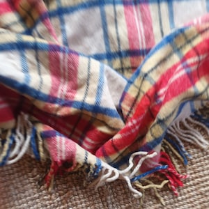 May include: A folded plaid blanket in shades of red, blue, yellow, and cream. The blanket has a fringed edge with white, red, and blue tassels. The pattern is a classic tartan design.