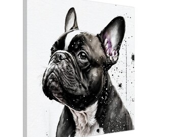 May include: A black and white French bulldog with a white patch on its chest, looking up and to the right. The background is white with black splatters of paint.