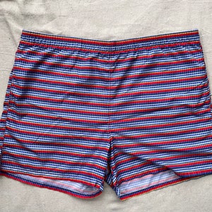 Vintage Rainbow Swim Shorts