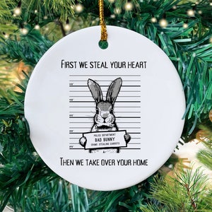 Funny Bunny Ornament, Rabbit Ornament Rabbit Lover Gift Idea for a Bunny Owner, Cute Rabbit Lover Gifts