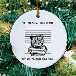 Ornamento meme criceto, regali a tema criceto, regalo mamma criceto, regalo papà criceto, ornamento carino per amante o proprietario del criceto