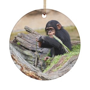 Chimpanzee ornament, chimp ornament, chimpanzee gifts, chimp gifts, 3 inch circle ceramic ornament