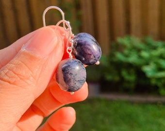 May include: A pair of silver earrings with dark blue and white agate stone beads.