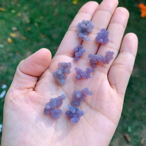 Puede incluir: Una mano que sostiene varias piedras pequeñas de calcedonia morada, agrupadas en racimos. Las piedras tienen una textura burbujeante y diferentes tonos de lavanda y violeta. El fondo está borroso, mostrando hierba verde y follaje.