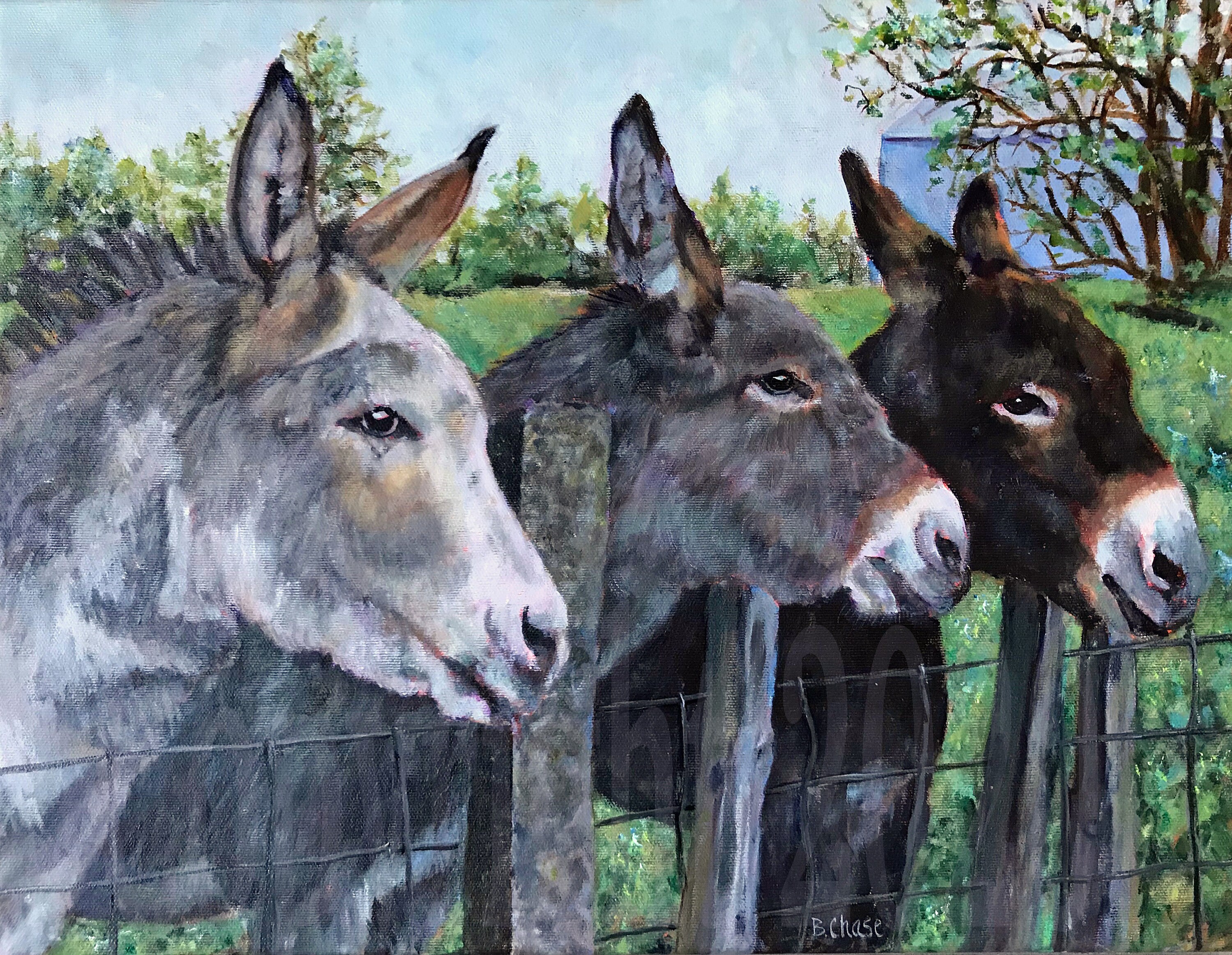 DONKEYS waiting for Goodoats Fine Art Giclée Etsy Australia