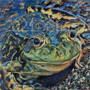 May include: A close-up painting of a green frog with large, dark eyes. The frog is sitting in water with its mouth slightly open, as if it is about to speak. The painting is done in a realistic style with vibrant colors.