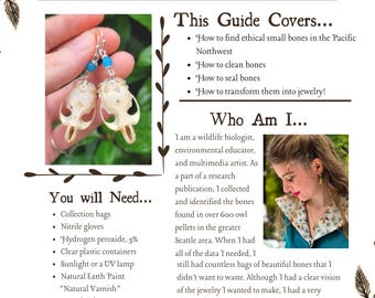 Ethical Bone Jewelry Making Guide, Owl Pellet Dissection, Second Edition (PDF Download)
