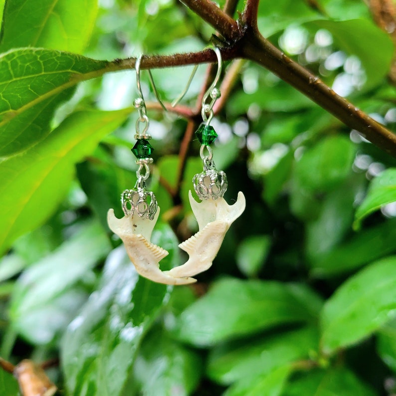 May include: A pair of unique earrings featuring small, off-white animal jawbones. Each earring has a silver-colored crown-like charm, green crystal beads, and silver-colored ear wires. The background is a blurred view of green leaves and branches.