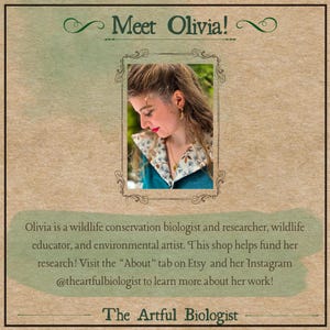 May include: A tan-colored Etsy shop announcement with the text "Meet Olivia!" above a framed photo of a woman. The text below states Olivia is a wildlife conservation biologist and artist. The shop is called "The Artful Biologist."
