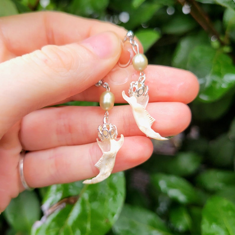 May include: Unique dangle earrings featuring small, off-white animal jawbones, each adorned with a silver-colored crown and a pale green pearl. The earrings hang from a silver chain, creating a distinctive and nature-inspired accessory.