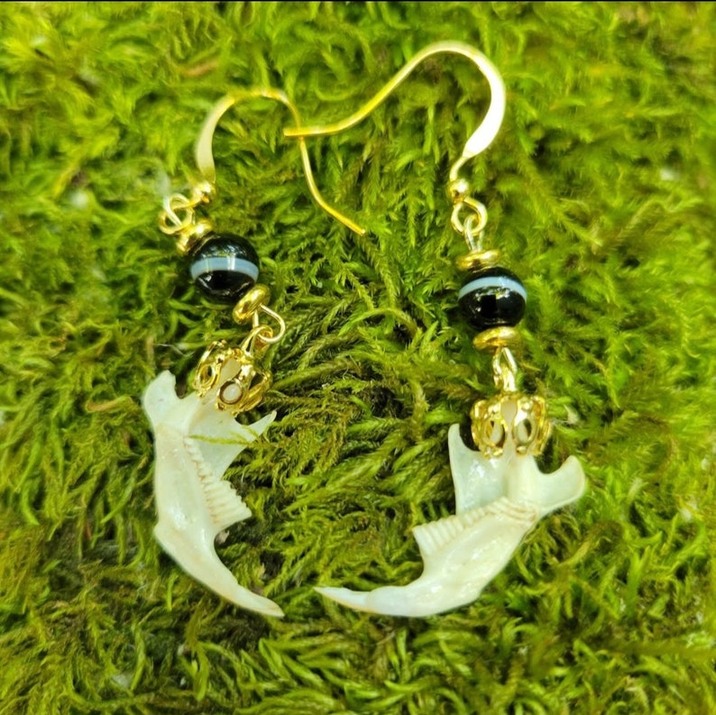 May include: Gold-colored dangle earrings featuring a claw-shaped bone pendant. Each earring has a black and white striped bead and a small gold-colored crown-like charm. The earrings are displayed on a bed of green moss.