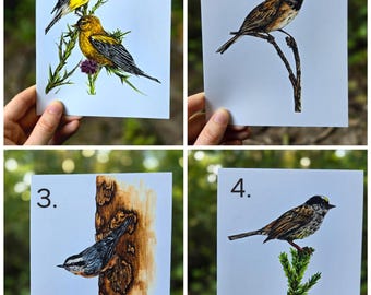 Può includere: Quattro carte con illustrazioni di diversi uccelli. La prima carta mostra due uccelli gialli appollaiati su un ramo con fiori viola. La seconda carta mostra un uccello marrone e nero appollaiato su un ramo. La terza carta mostra un uccello marrone e bianco appollaiato su un tronco d'albero. La quarta carta mostra un uccello marrone e bianco appollaiato su un ramo verde.
