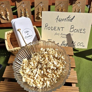 May include: A bowl of assorted rodent bones from Barred Owl Pellets, labeled "Assorted Rodent Bones from Barred Owl Pellets Full Bag $5.00 ea".